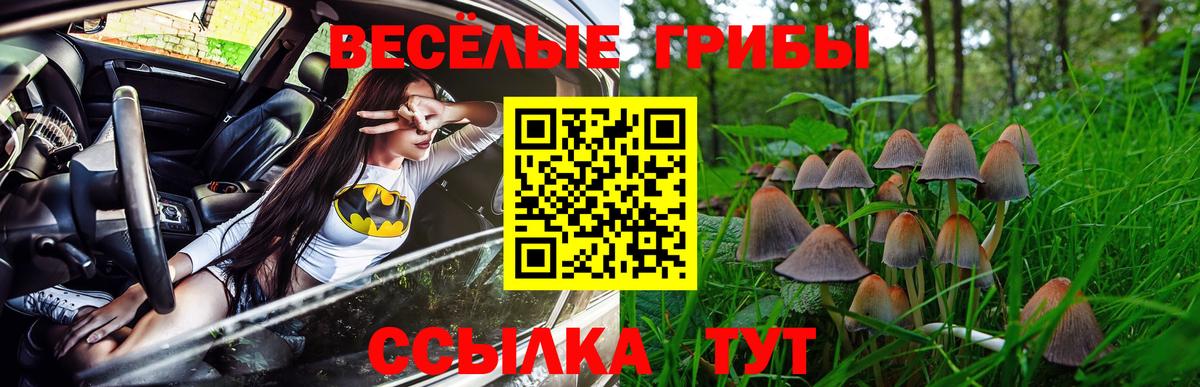 Псилоцибиновые грибы Psilocybine cubensis Малгобек