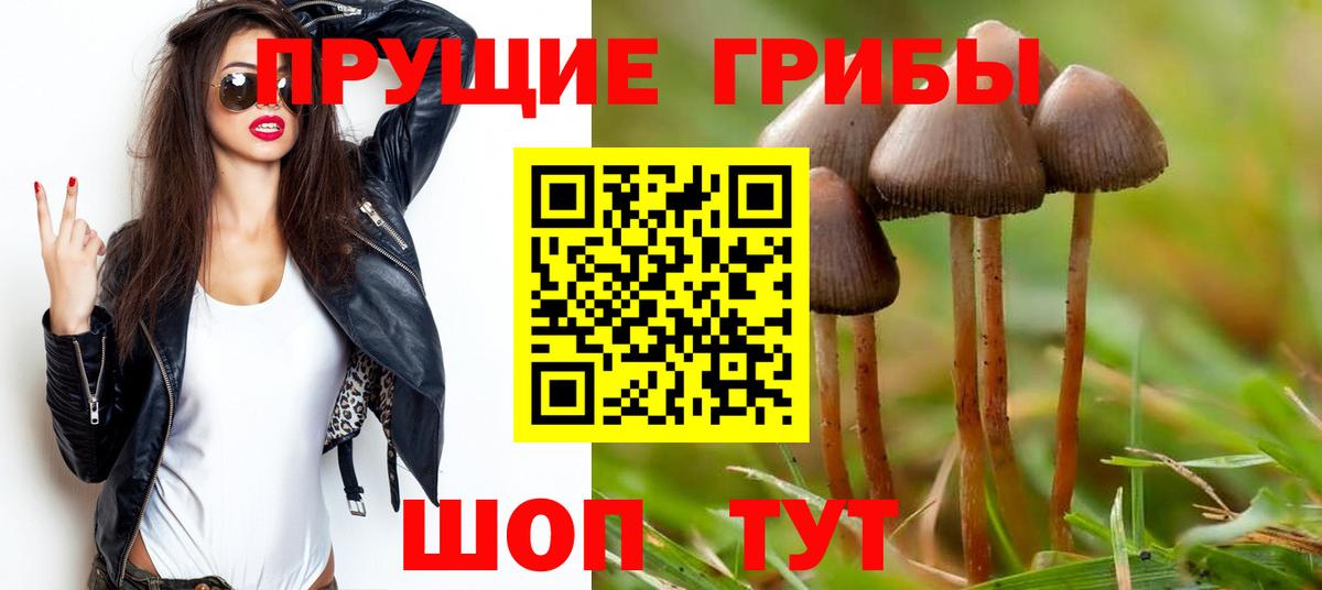 Псилоцибиновые грибы Cubensis  Вход с VPN  Малгобек 